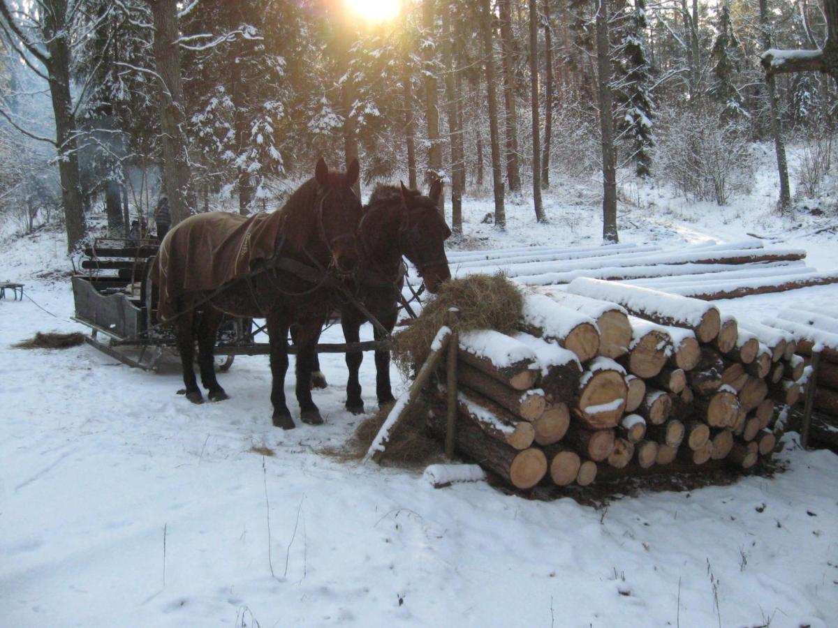Homestay Mazurek Do Wynajecia