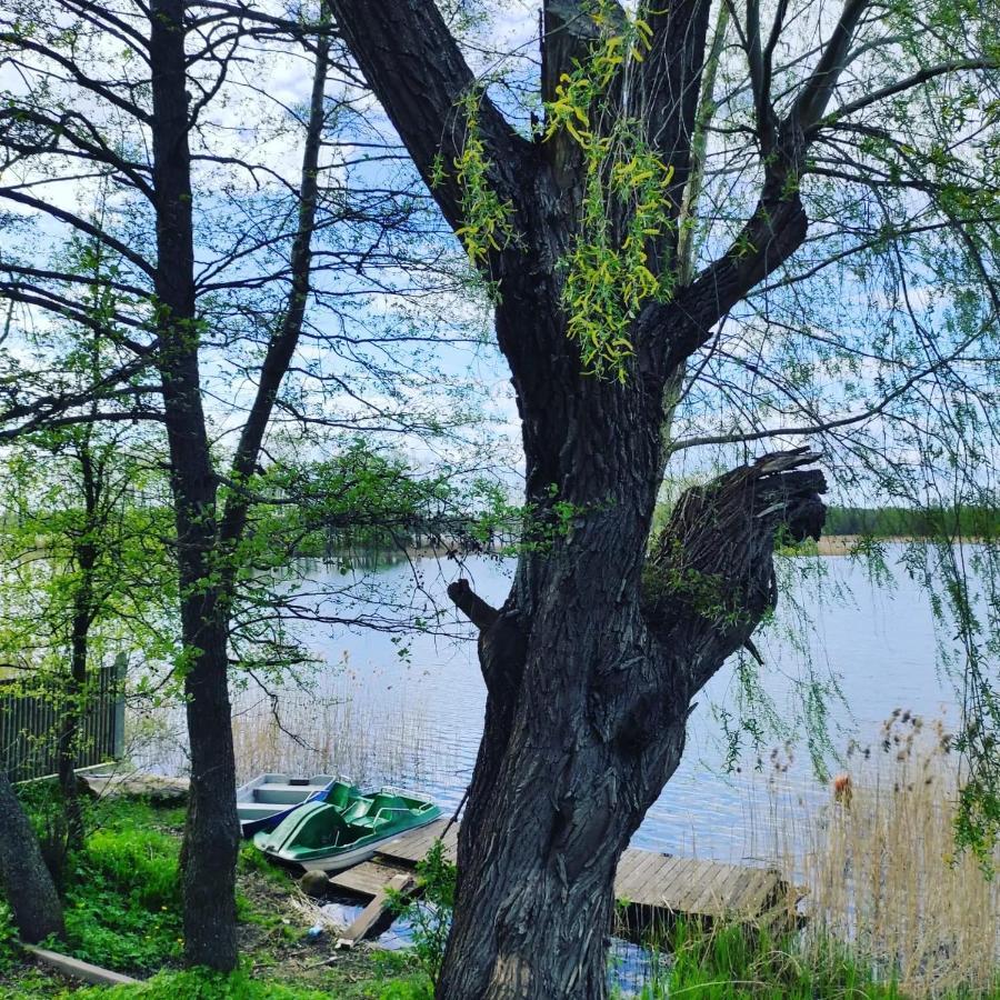 Mazurek Do Wynajecia