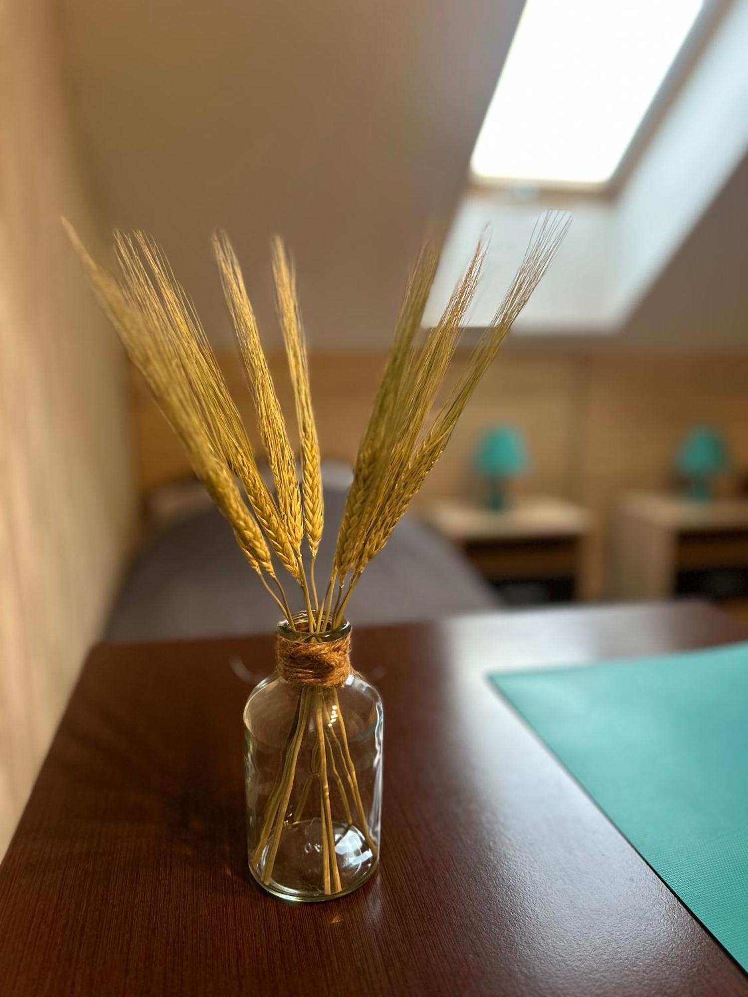 Mazurek Do Wynajecia Privat overnatting *