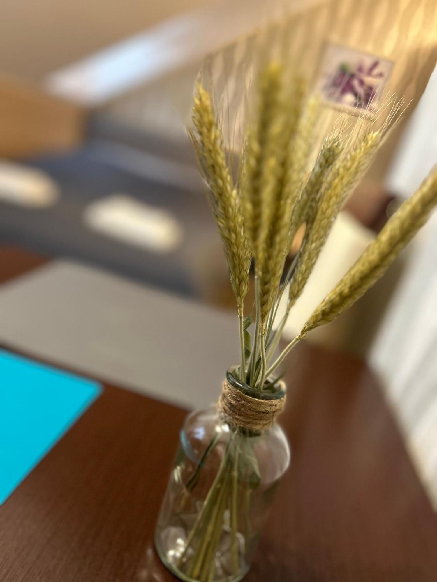 Privat overnatting Mazurek Do Wynajecia